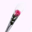 pink_rose.webp